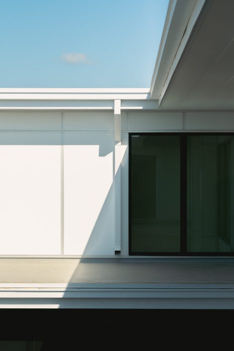 Afternoon light reaching a modern home.